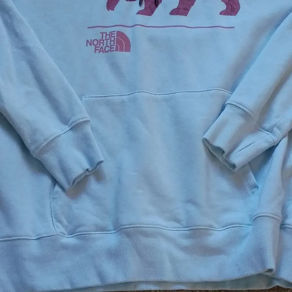 The North Face Bearscape 2 Pullover Hoodie Size Medium